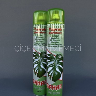 Bahar Yaprak Parlatıcı