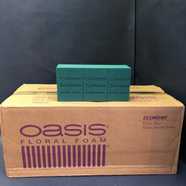 Oasis Economy Çiçek Süngeri